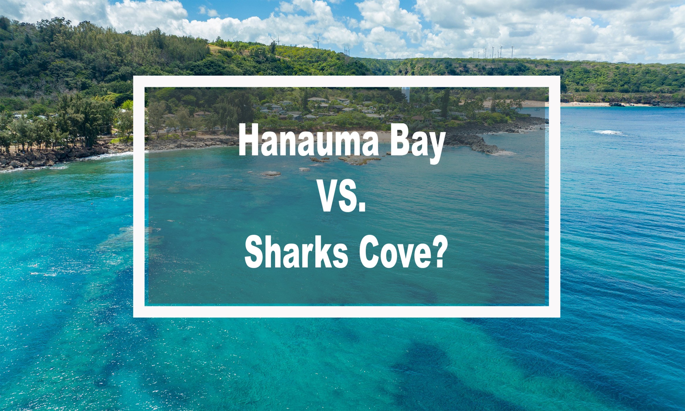 Where to Snorkel: Hanauma Bay vs. Sharks Cove?