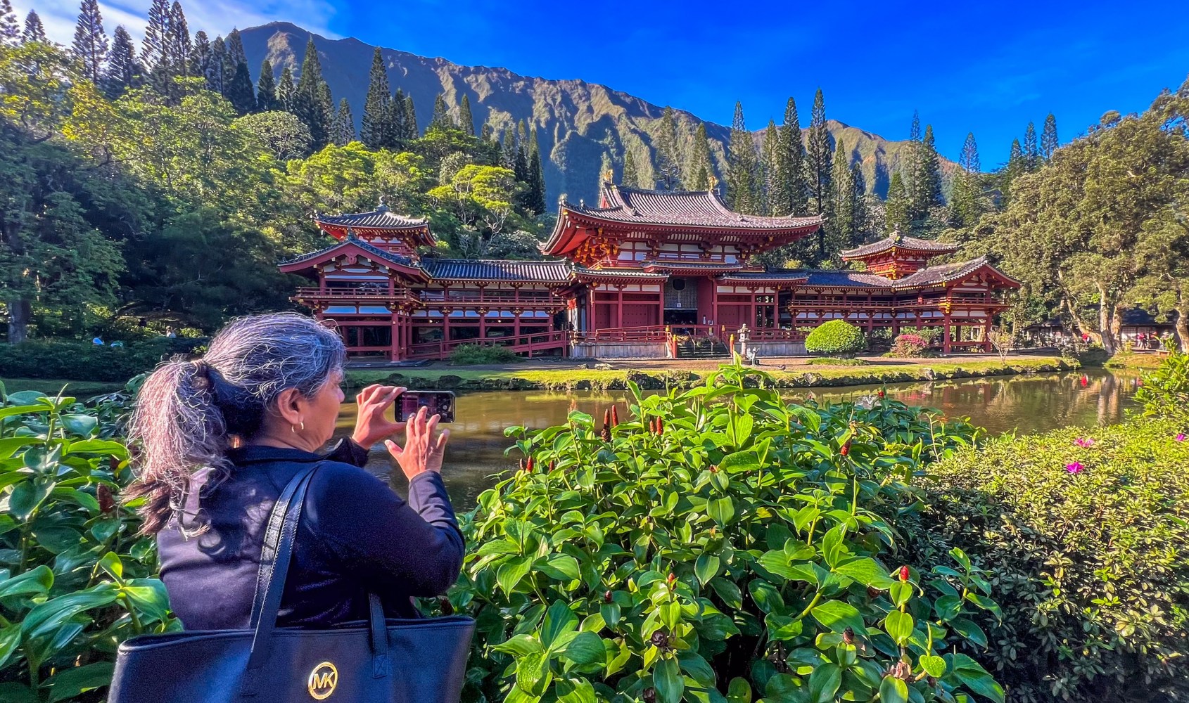 Tour the byodo-In Temple